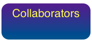 Collaborators